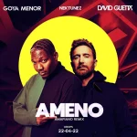 David Guetta - Ameno Amapiano Remix Lyrics