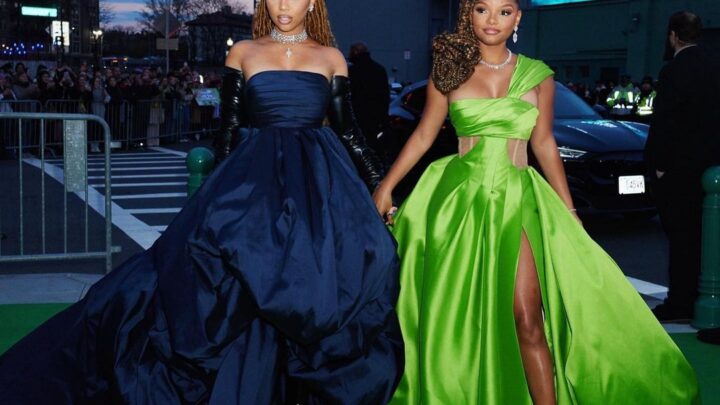 Chloe x Halle Biography, Age ,Net Worth, Wiki, Real Name, Children, Instagram, Parents, partner